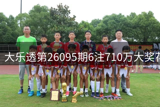 大乐透第26095期6注710万大奖花落五省 奖池仍超8亿