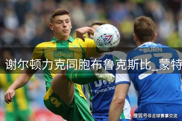 谢尔顿力克同胞布鲁克斯比 蒙特利尔大师赛成功挺进16强